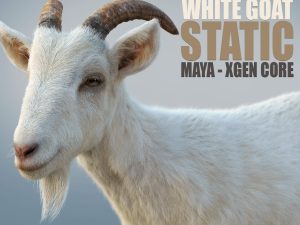 White Goat 3D Models | Animal 3d Models
