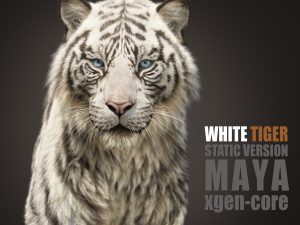 White Tiger 3D Models | Animal 3d Models