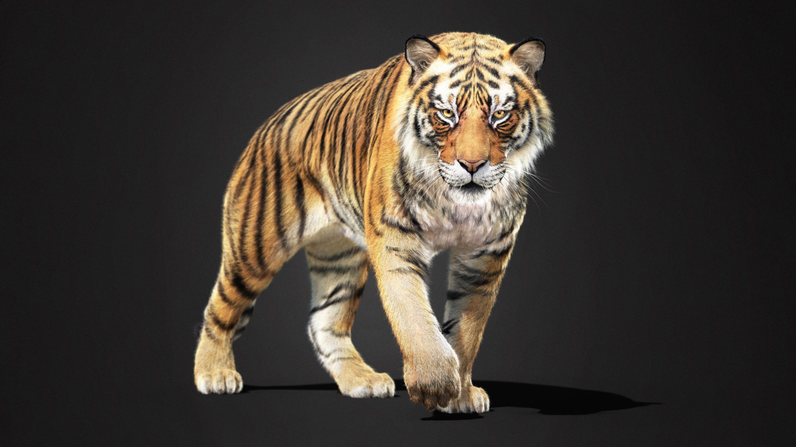◉美品◉ALPHA◉MA-1◉BACK FLYING A TIGER bengal-tiger-start-jump-pose-