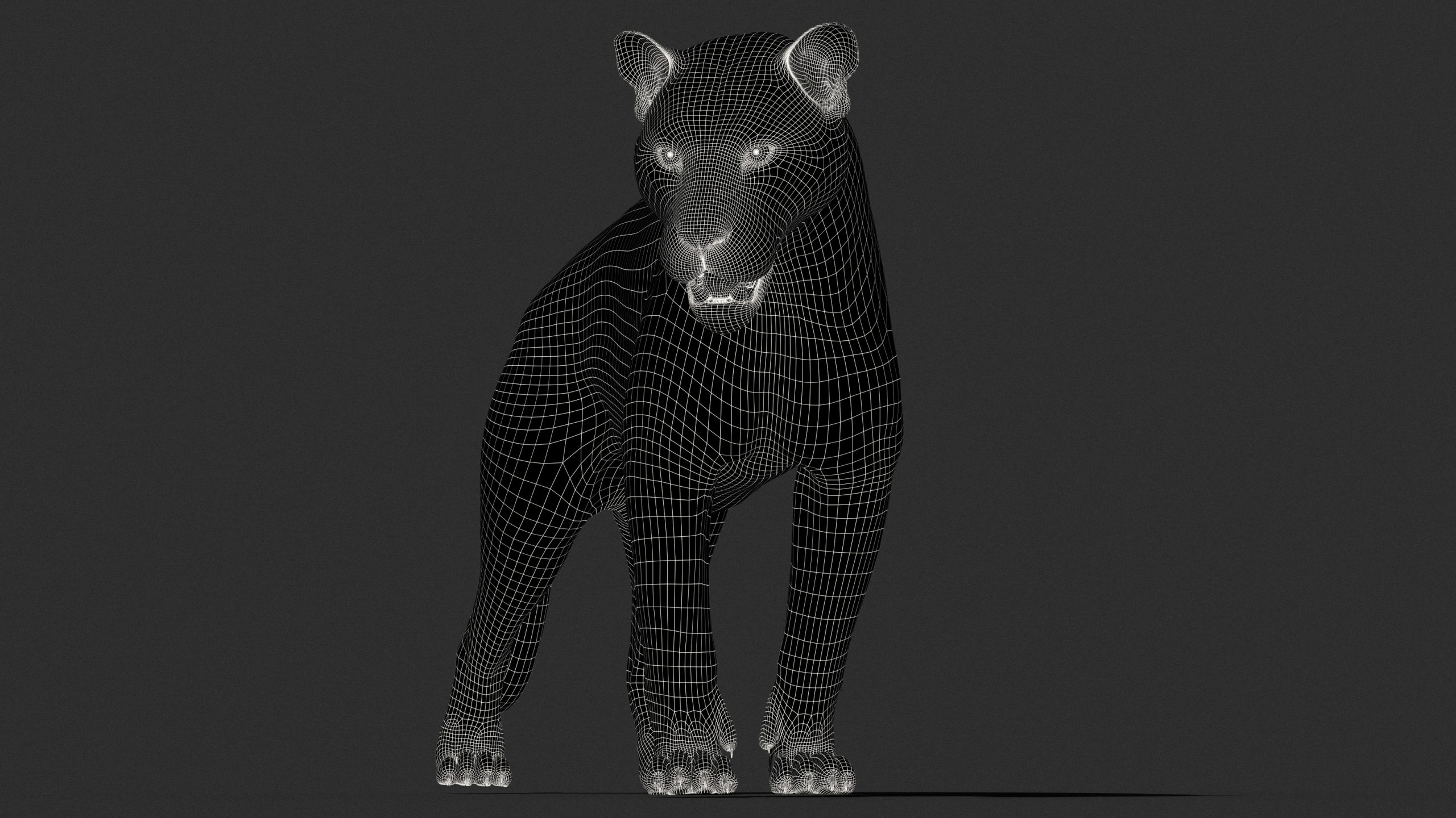 Tiger 3D Models | Animal 3d Models