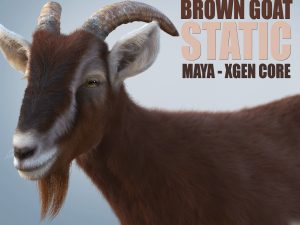 Brown Goat 3D Models | Animal 3d Models