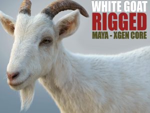 White Goat 3D Models | Animal 3d Models