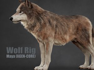 Wolf 3D Models | Animal 3d Models