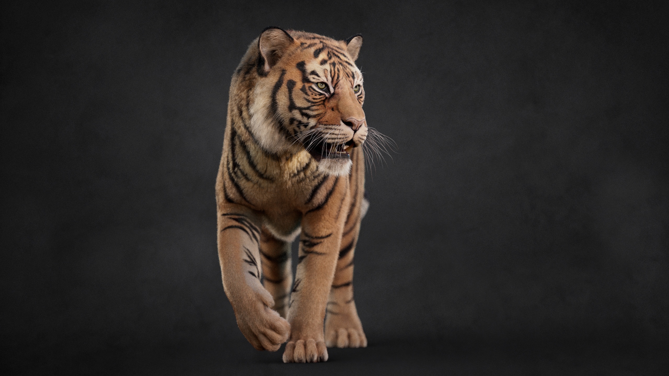 New Tiger Rig