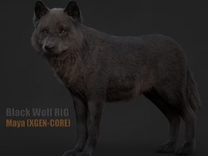 Black Wolf 3D Models | Animal 3d Models