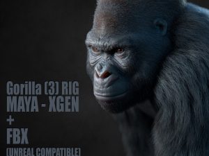 Gorilla 3D Models | Animal 3d Models
