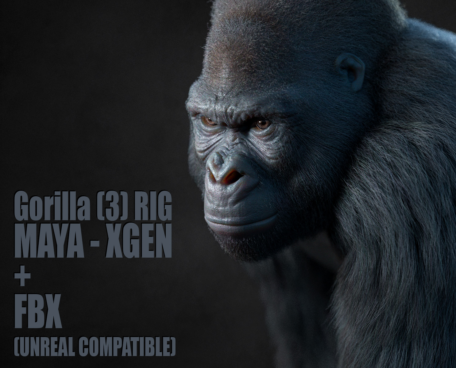 Gorilla 3D Models | Animal 3d Models