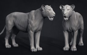 Massimo Righi - Lion sculpt