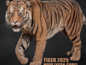 Tiger 3D Models | Animal 3d Models