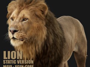 Lion 3D Models | Animal 3d Models