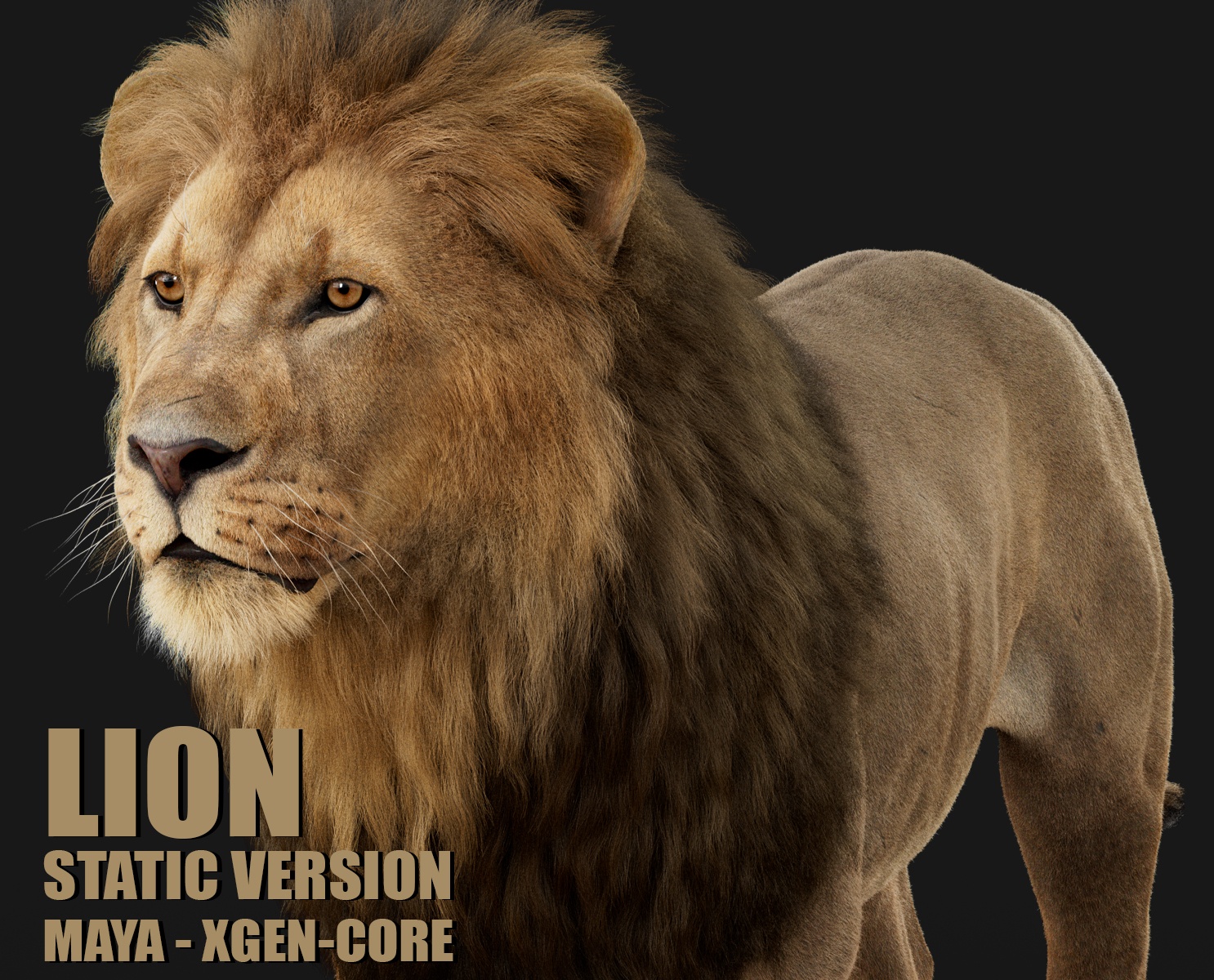 Lion 3D Models | Animal 3d Models