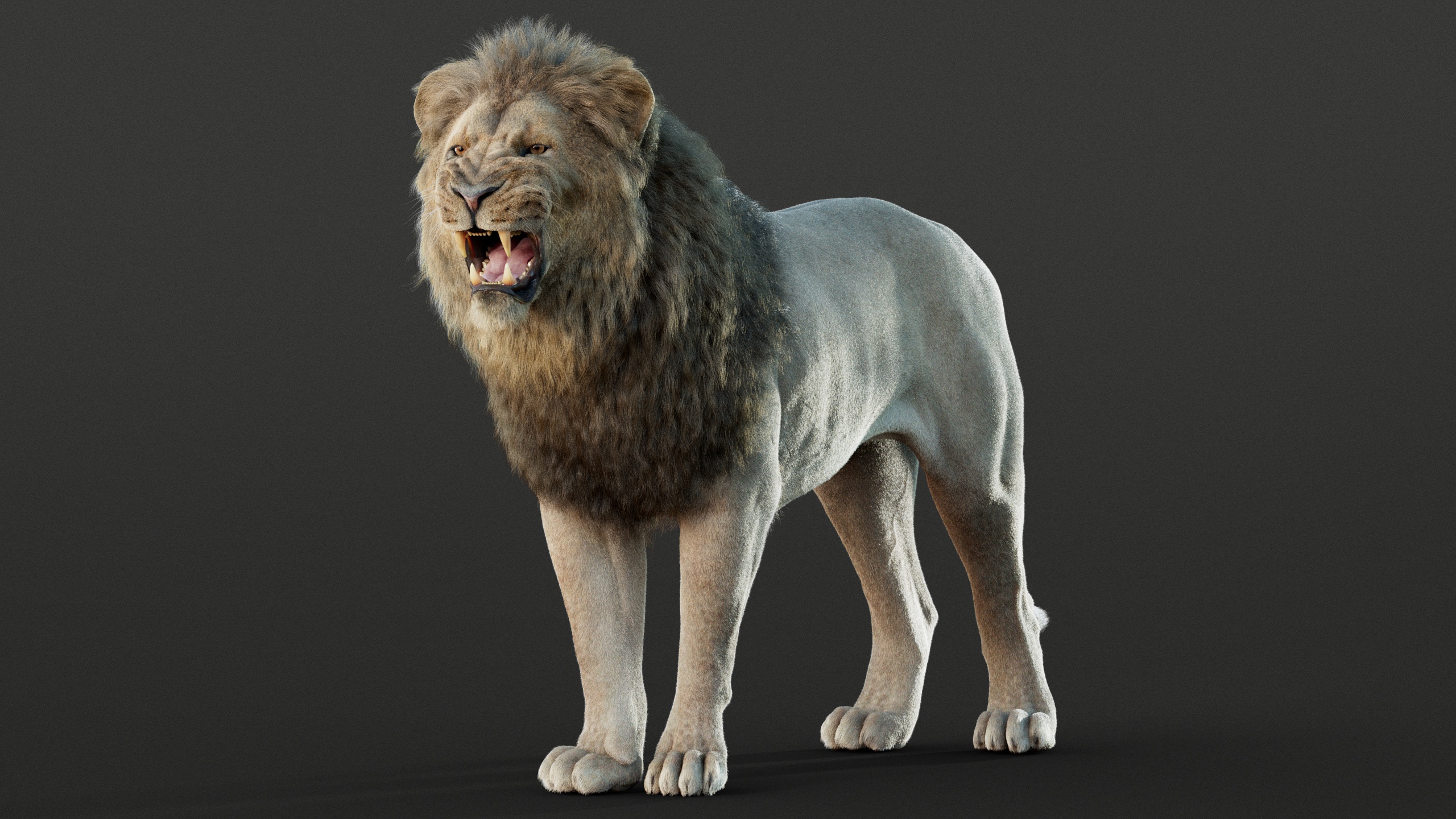 Lion 3D Models | Animal 3d Models