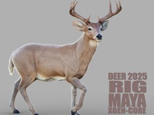 Deer 3D Models | Animal 3d Models