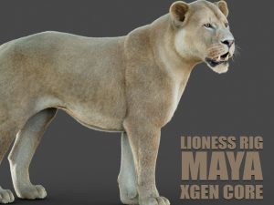 Lioness 3D Models | Animal 3d Models