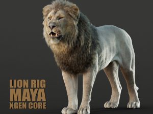 Lion 3D Models | Animal 3d Models