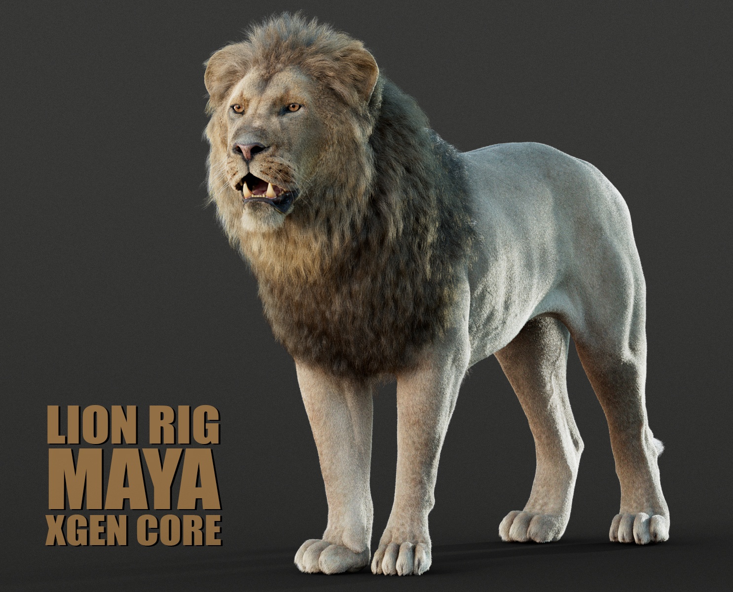 Lion 3D Models | Animal 3d Models