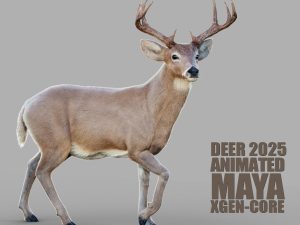 Deer 3D Models | Animal 3d Models