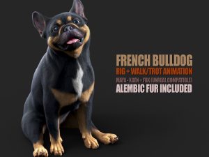 French Bull Dog 3D Models | Animal 3d Models