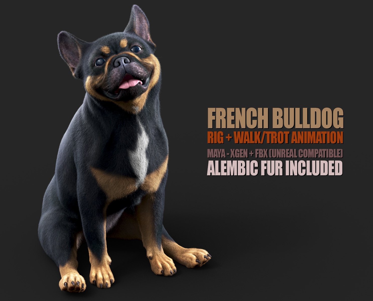 French Bull Dog 3D Models | Animal 3d Models