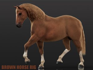Horse Brown 3D Models | Animal 3d Models