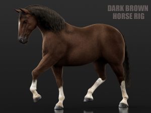 Horse Dark Brown 3D Models | Animal 3d Models