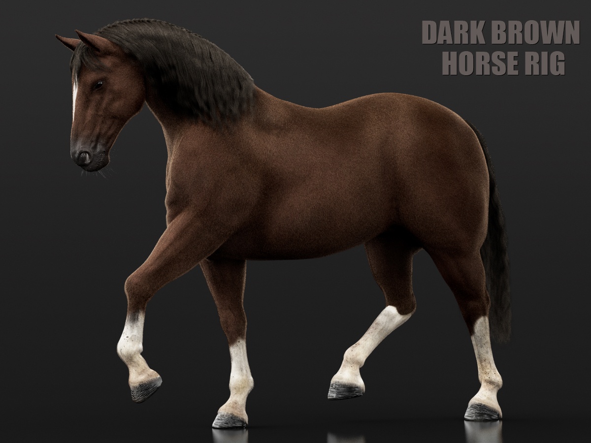 Horse Dark Brown 3D Models | Animal 3d Models