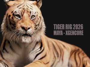 Tiger 3D Models | Animal 3d Models