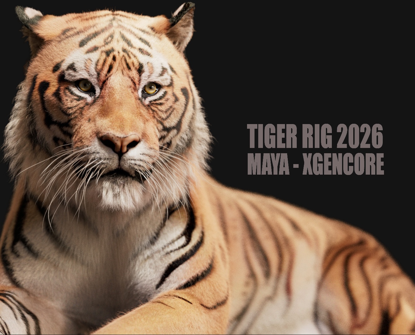 Tiger 3D Models | Animal 3d Models