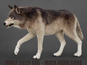 Wolf 3D Models | Animal 3d Models