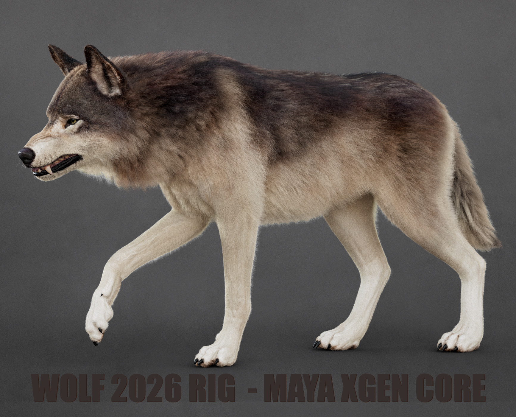 Wolf 3D Models | Animal 3d Models
