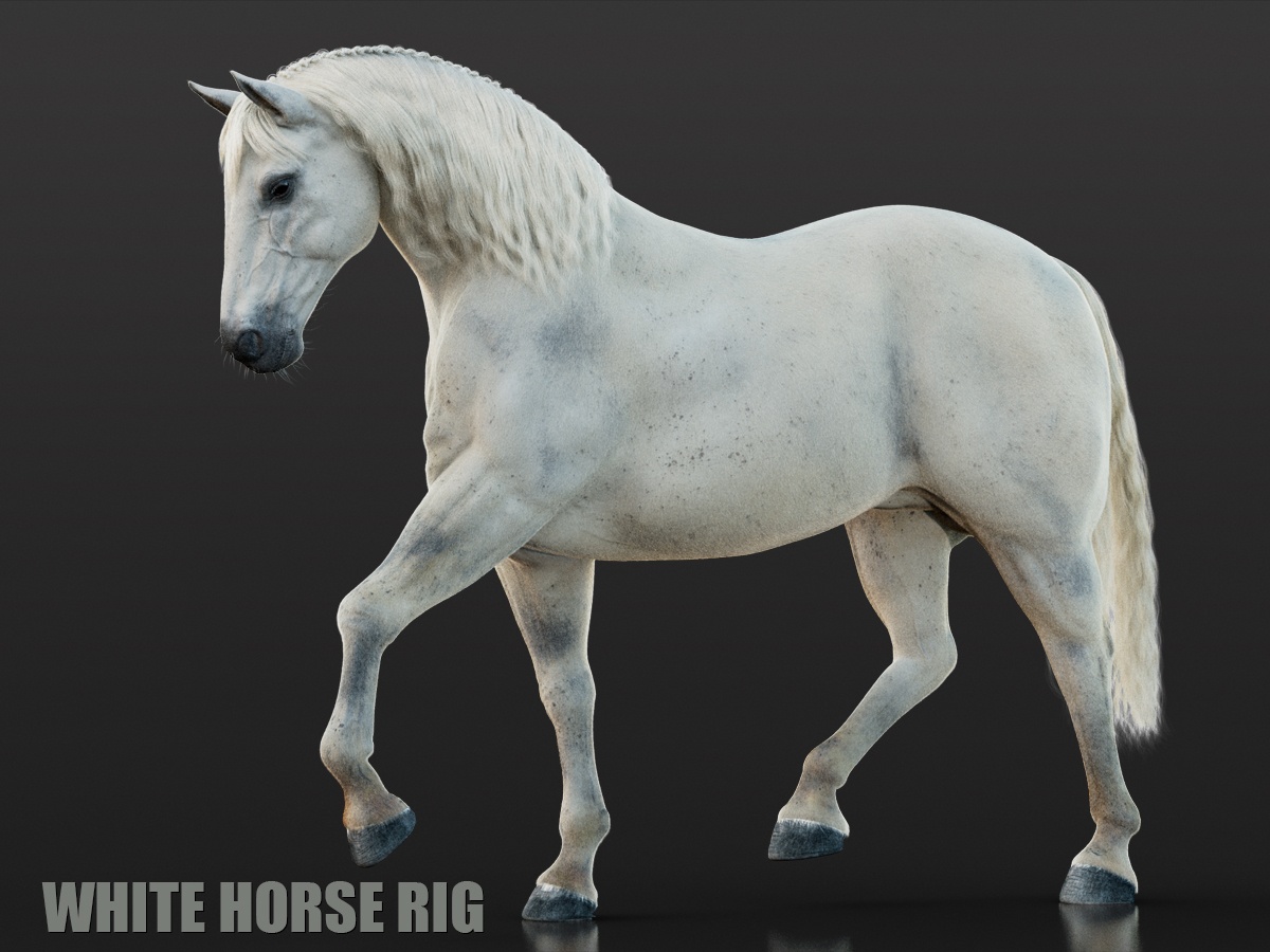 Horse White 3D Models | Animal 3d Models