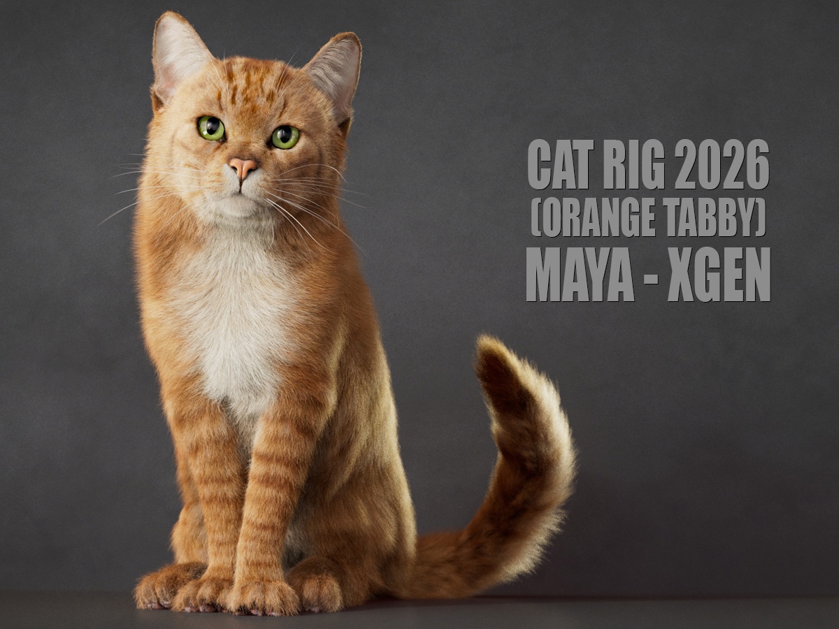 Cat 2026 RIG (Orange Tabby) 3D Models | Animal 3d Models