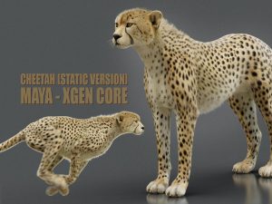 Cheetah 3D Models | Animal 3d Models