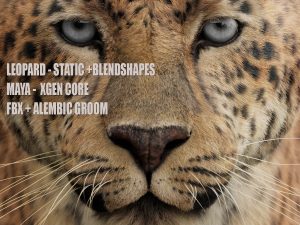 Leopard 3D Models | Animal 3d Models
