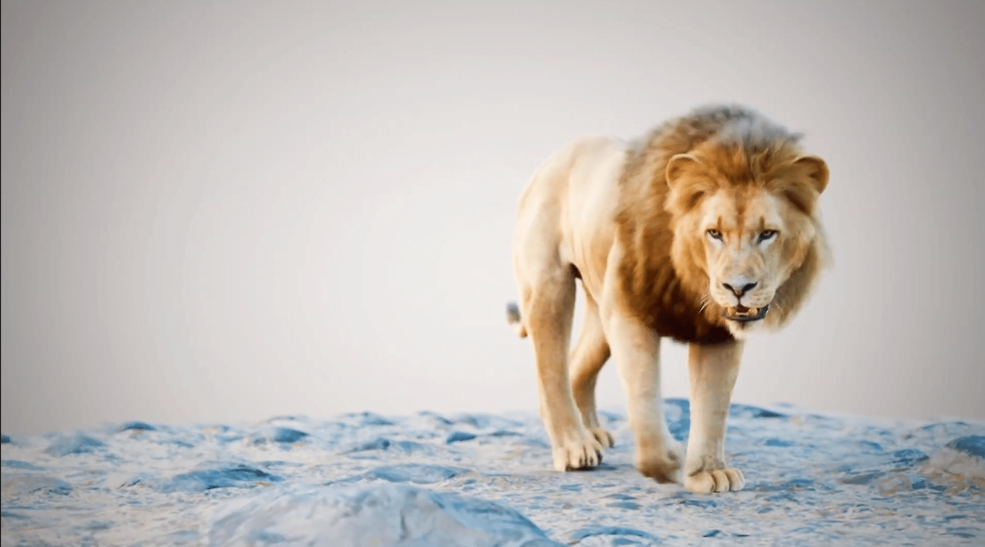3D Lion – From Rig to Animation